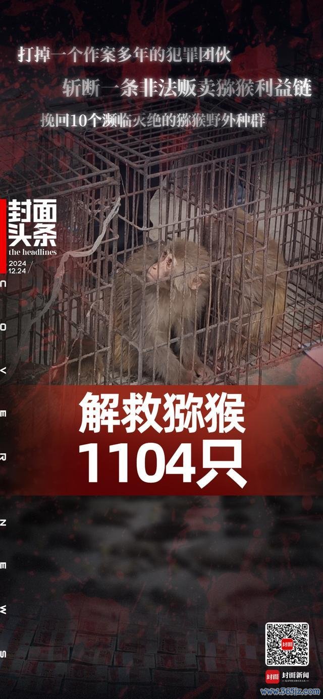 警方破野生猕猴变繁衍猕猴案
